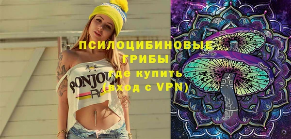 винт Армянск