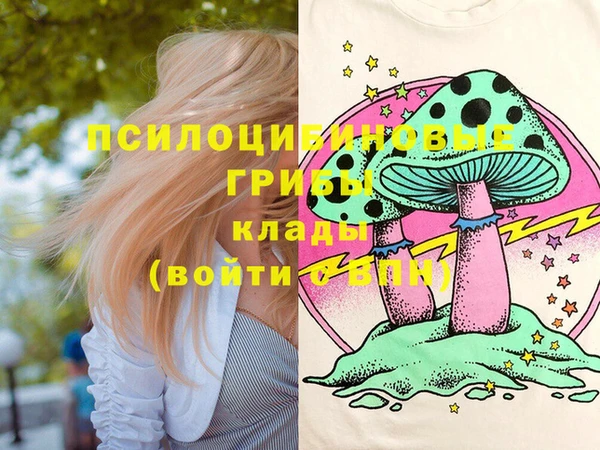 винт Армянск