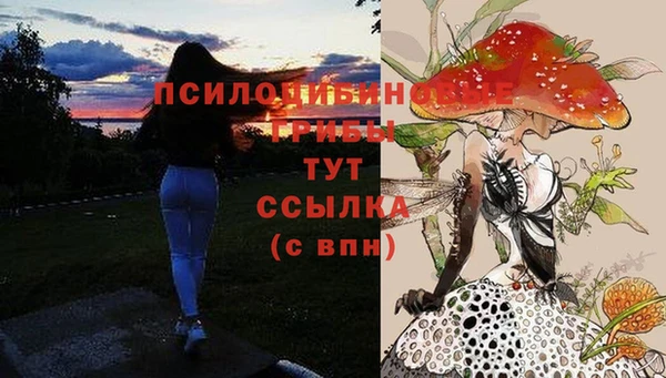 скорость Арсеньев