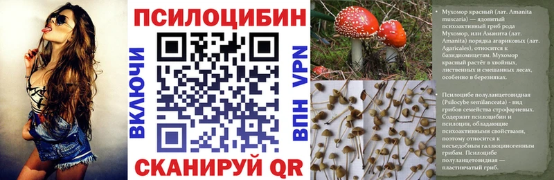 Галлюциногенные грибы Magic Shrooms Родники