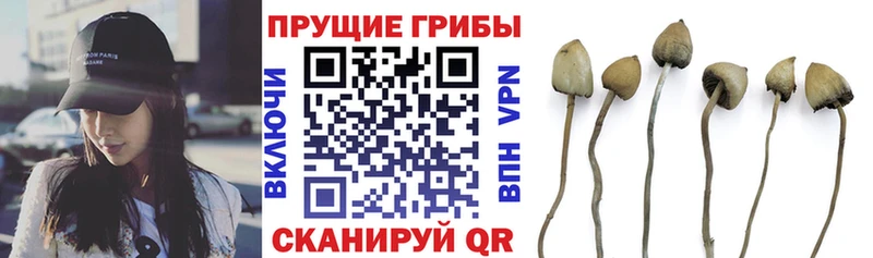 Псилоцибиновые грибы мицелий  купить наркотики цена  Родники 